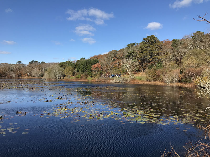 pond at cranberry acres