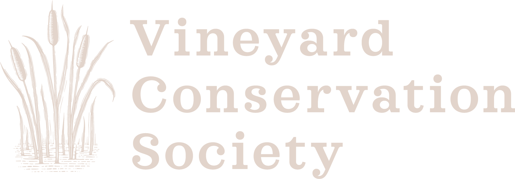 Vineyard Conservation Society