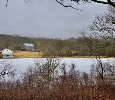Frances Newhall Woods Preserve