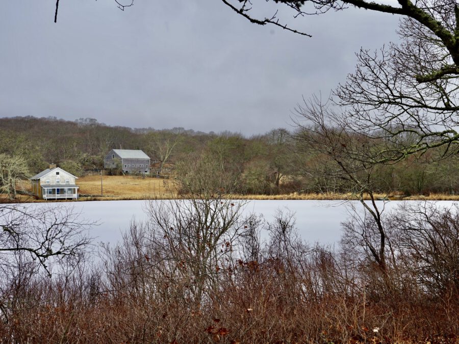 Frances Newhall Woods Preserve