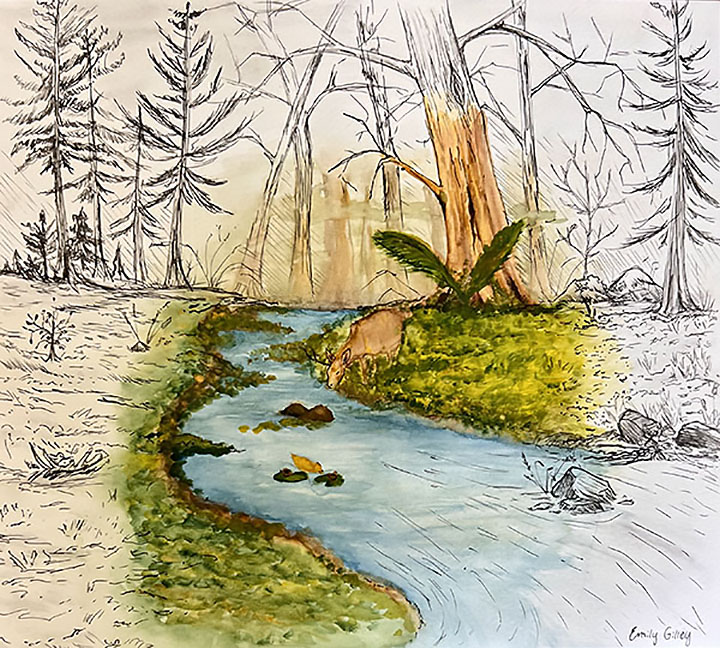 Illustration by Emily Gilley