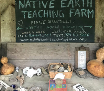 Native Earth Teaching Farm