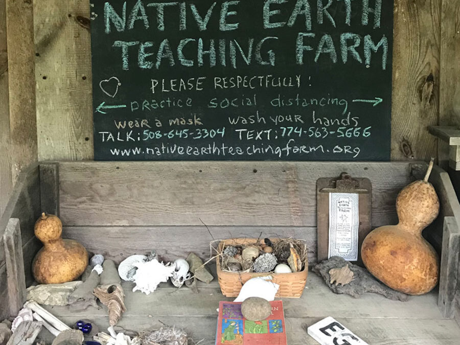 Native Earth Teaching Farm