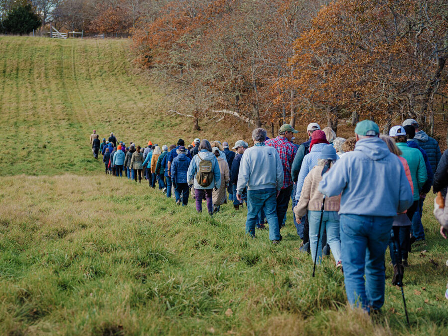 A long line of bundled-up walkers crosses a grassy field beside bare autumn trees during a Vineyard Conservation Society winter walk on Martha’s Vineyard.