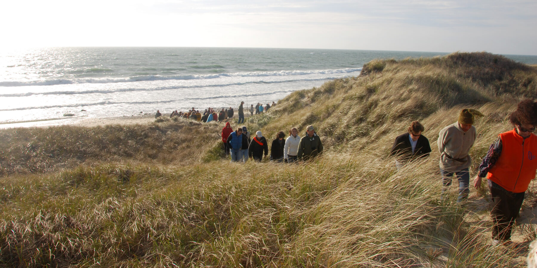 Group of people walking through coastal dunes beside the beach on Martha’s Vineyard during a Vineyard Conservation Society event
