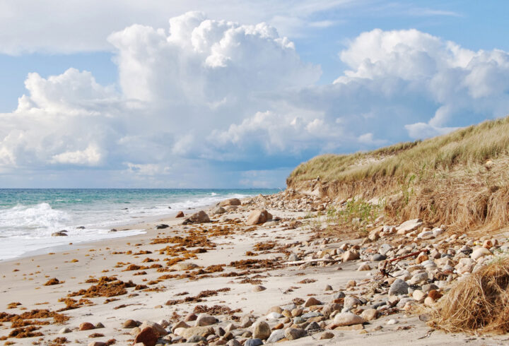 Rocky shoreline and grassy dunes along a Martha’s Vineyard beach under large clouds.