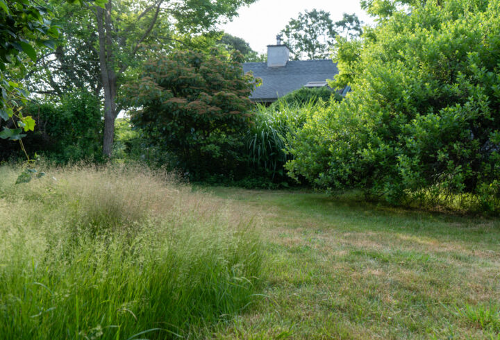 An example of the Vineyard Lawns initiative