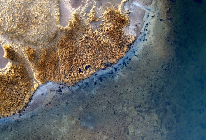 Aerial view of a coastal pond shoreline with marsh grasses and shallow water on Martha’s Vineyard