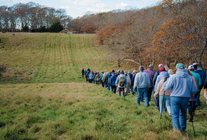 Large group of people on fall walk down a grassy hillside beside autumn trees on a cloudy day.