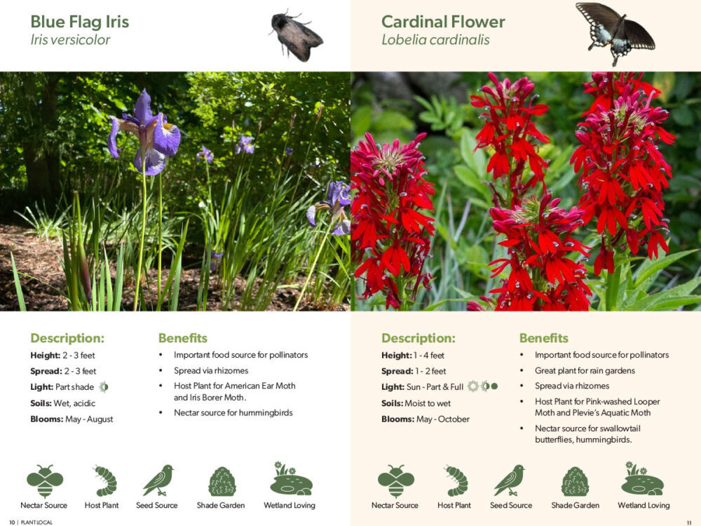 Guide page featuring Blue Flag Iris and Cardinal Flower with photos, plant descriptions, and pollinator benefits