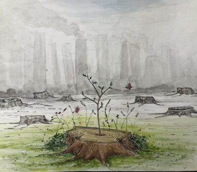 Emily Gilley, 'New Growth' [First Place]