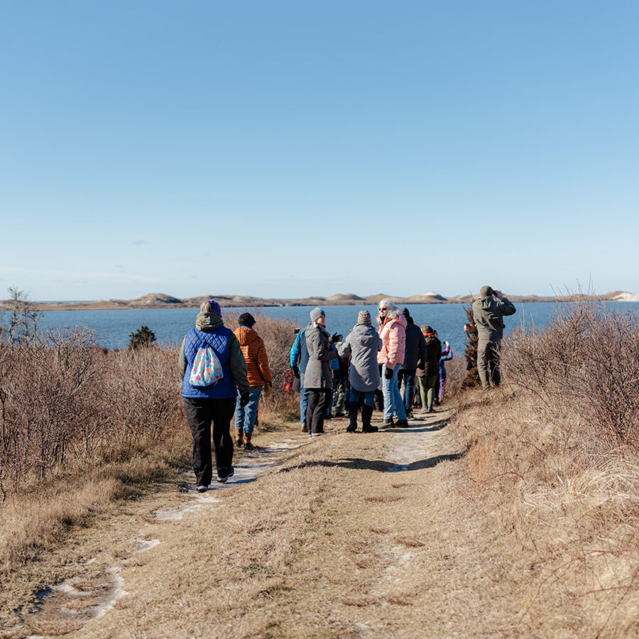 A group of people walks along a sandy coastal path beside the water on a clear winter day, with low dunes visible in the distance.
