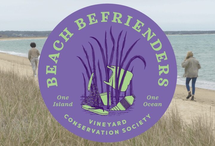 Beach Befrienders logo