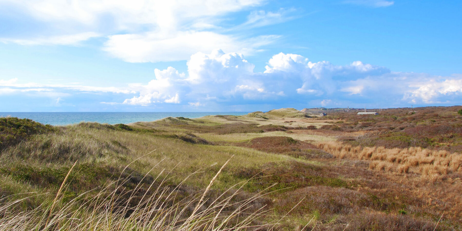 Great Tisbury Pond Martha's Vineyard