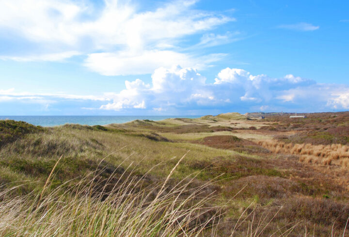 Rolling coastal dunes of Martha's Vineyard covered in grasses and shrubs stretch toward the ocean under a bright sky with large clouds.