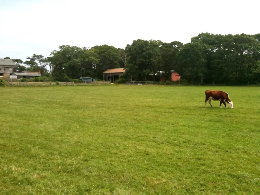 Nip ‘n’ Tuck Farm