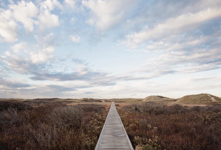 A wooden boardwalk stretches straight through brown coastal brush of Martha's Vineyard dunes under a wide, cloud-filled sky.