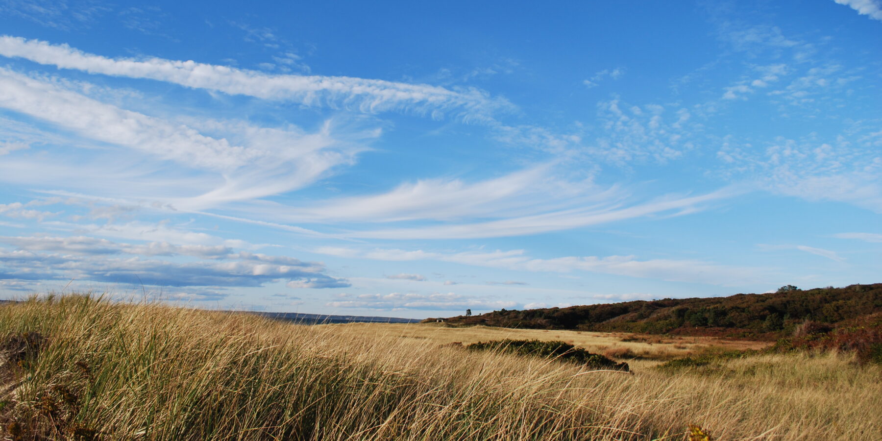Coastal grasslands and wide sky on Martha’s Vineyard