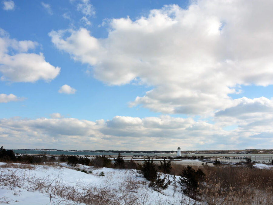 Edgartown Harbor Wetlands & Lighthouse Beach