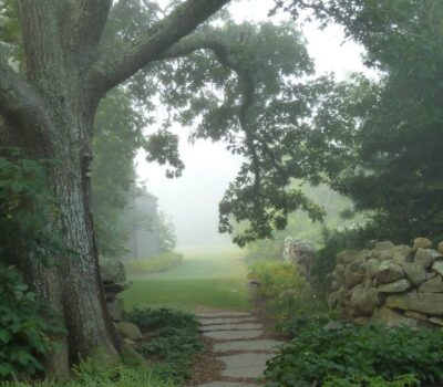 Polly Hill Arboretum