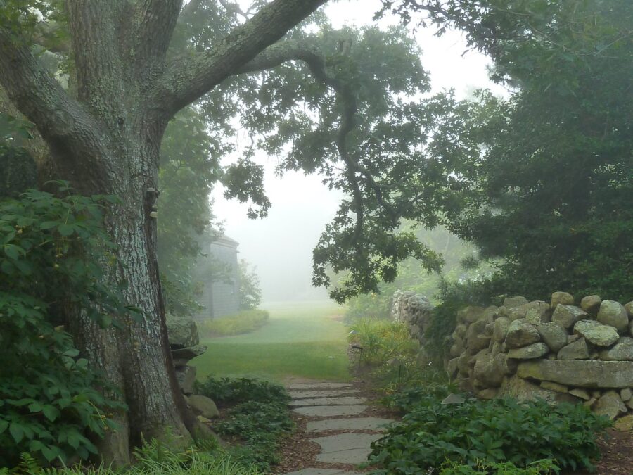 Polly Hill Arboretum