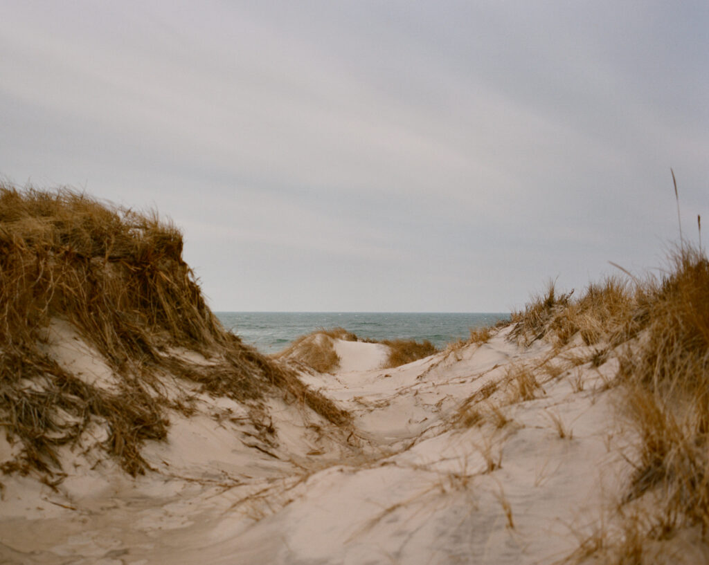 Grassy coastal dunes under a cloudy sky on Martha’s Vineyard 