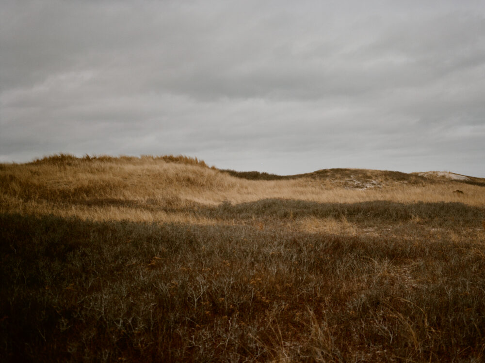 Coastal grassland and sand dunes beneath an overcast sky on Martha’s Vineyard
